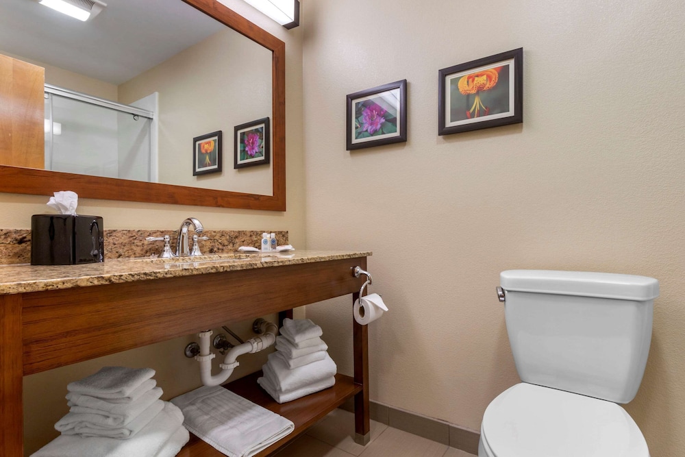 Suite - Photo 7