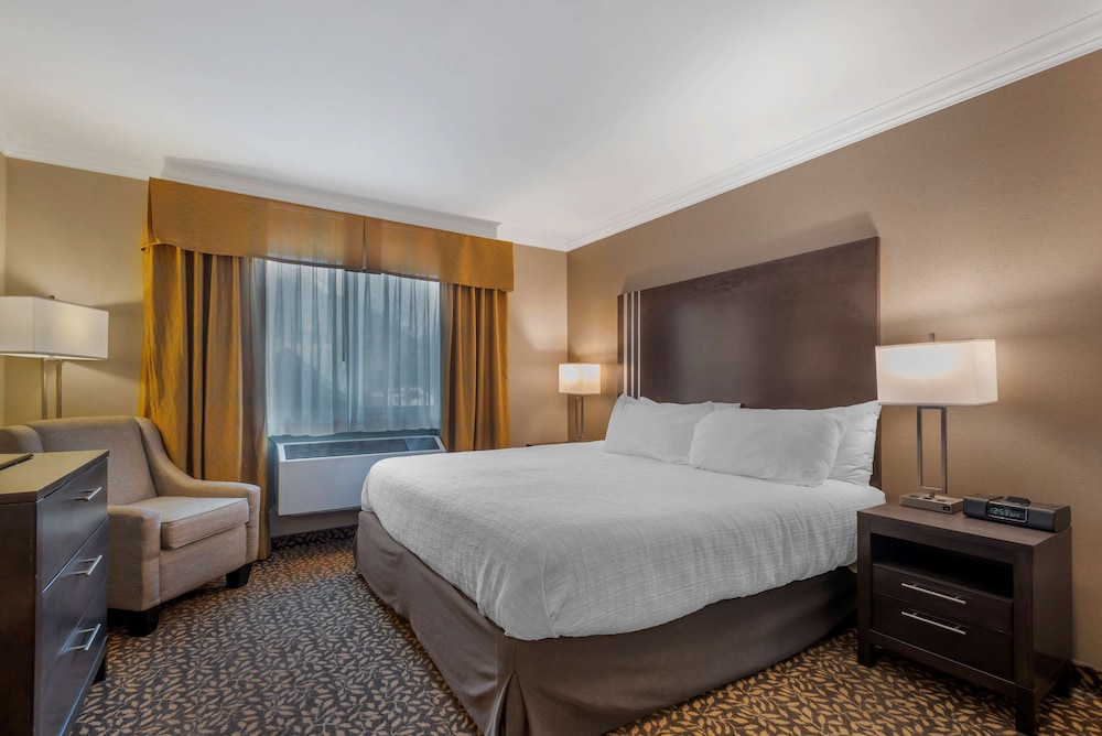 Suite, 1 King Bed, Non Smoking, Kitchenette (with Sofabed) photo 3