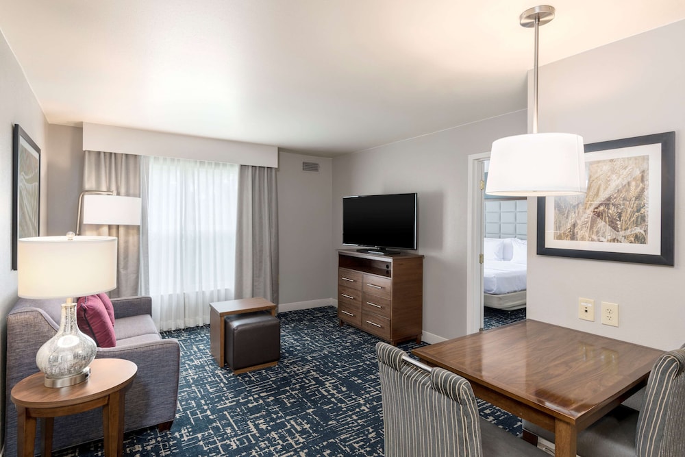 Suite, 1 Bedroom - Photo 4