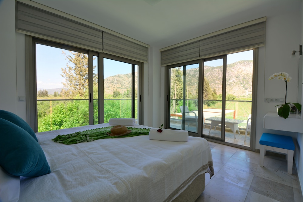 Villa, Private Pool photo 1