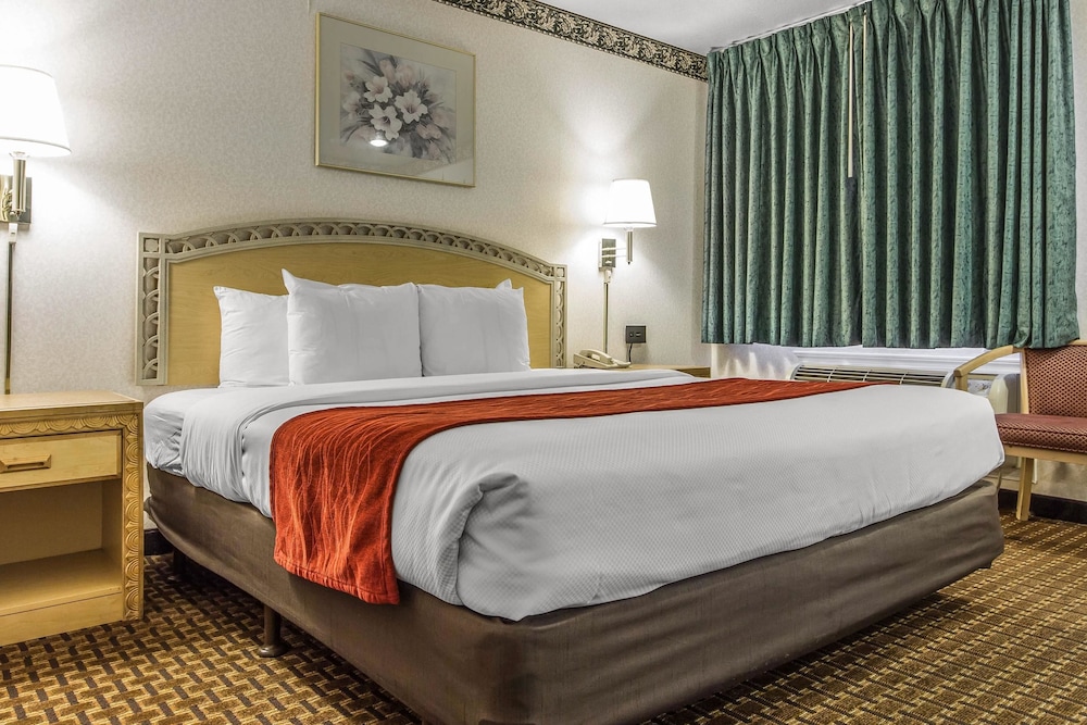 Standard Room, 1 King Bed - Photo 4