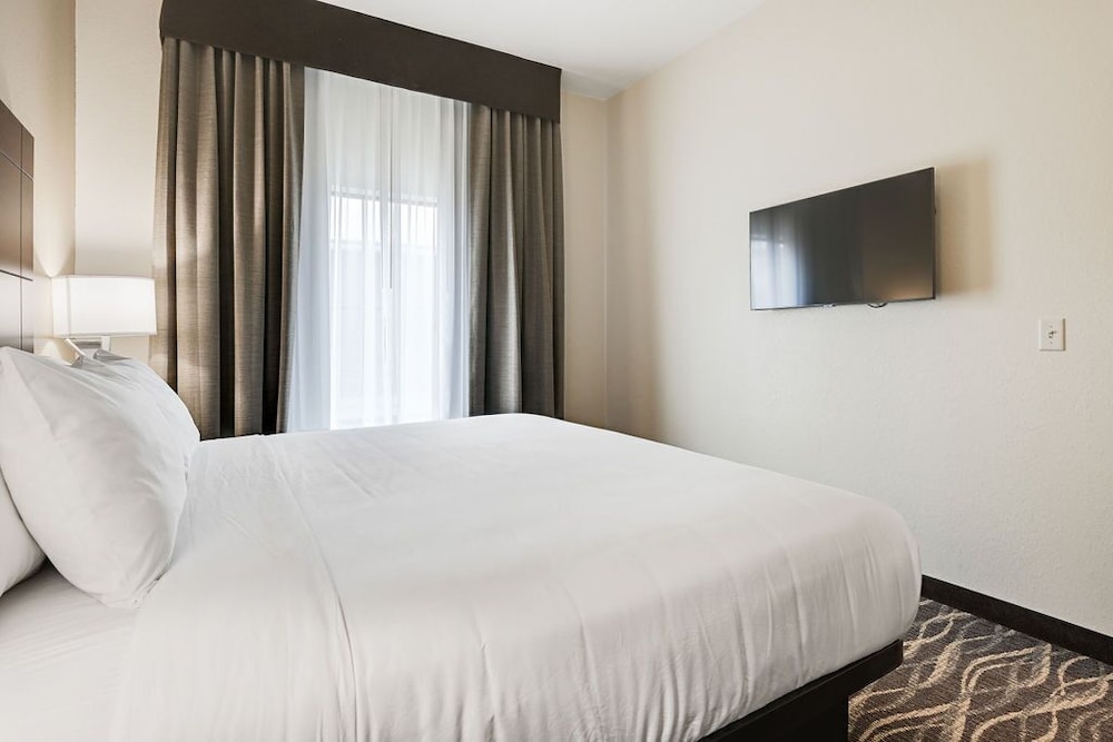 Suite, 1 King Bed with Sofa bed, Non Smoking (with Audible/Visual Alert) - Photo 8