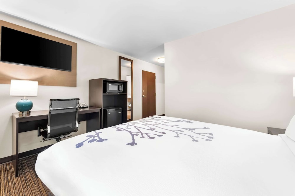 Room, 1 Queen Bed, Accessible, Non Smoking - Photo 6