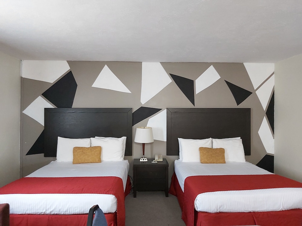 Standard Studio, Multiple Beds, Kitchenette photo 3