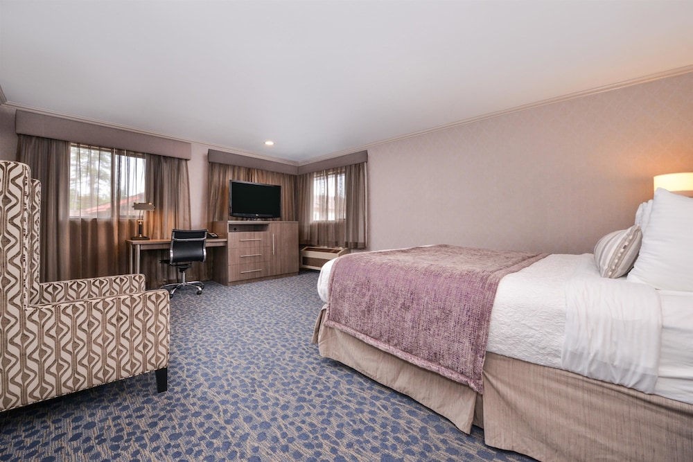 Suite, 1 King Bed, Non Smoking, Jetted Tub - Photo 2