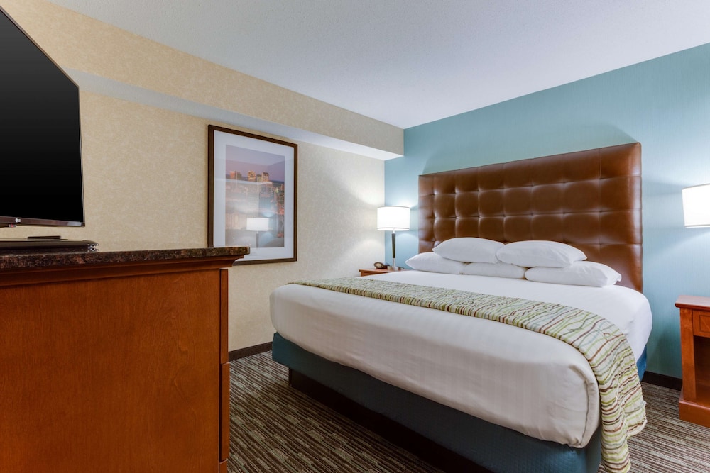 Suite, 1 King Bed with Sofa bed, Refrigerator & Microwave (Oversized)