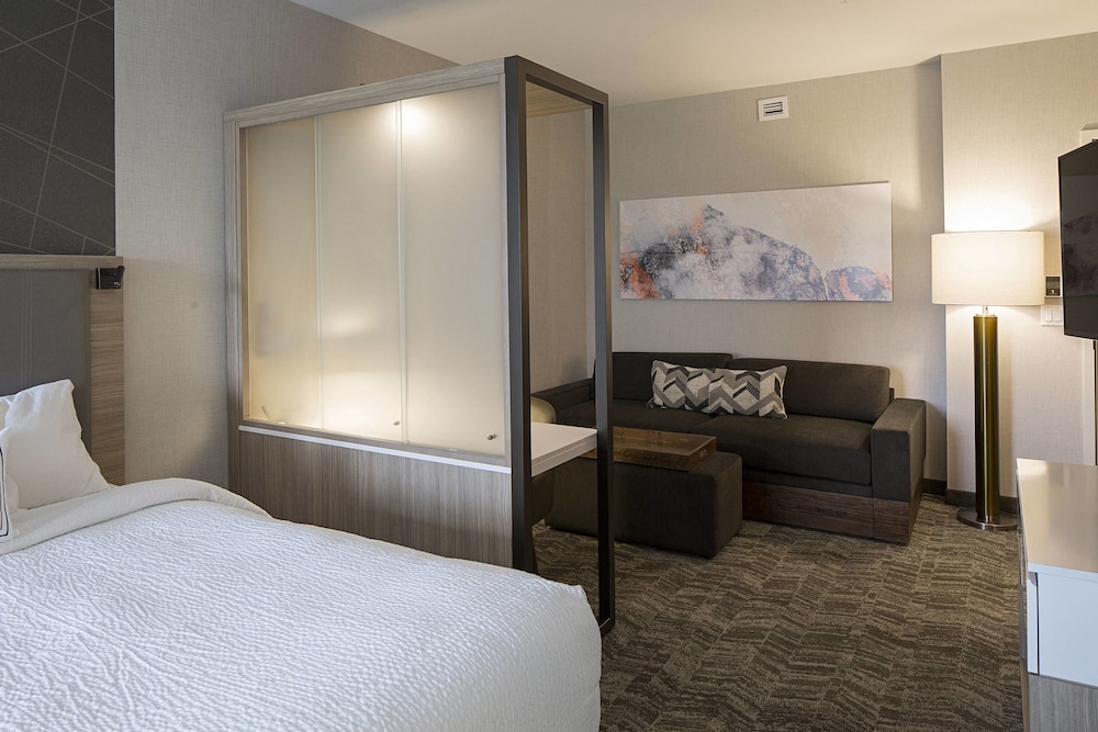Suite, Multiple Beds photo 3