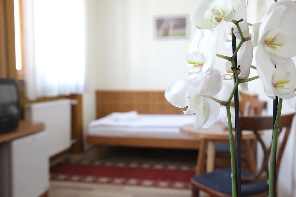 Classic Twin Room, 1 Bedroom photo 1