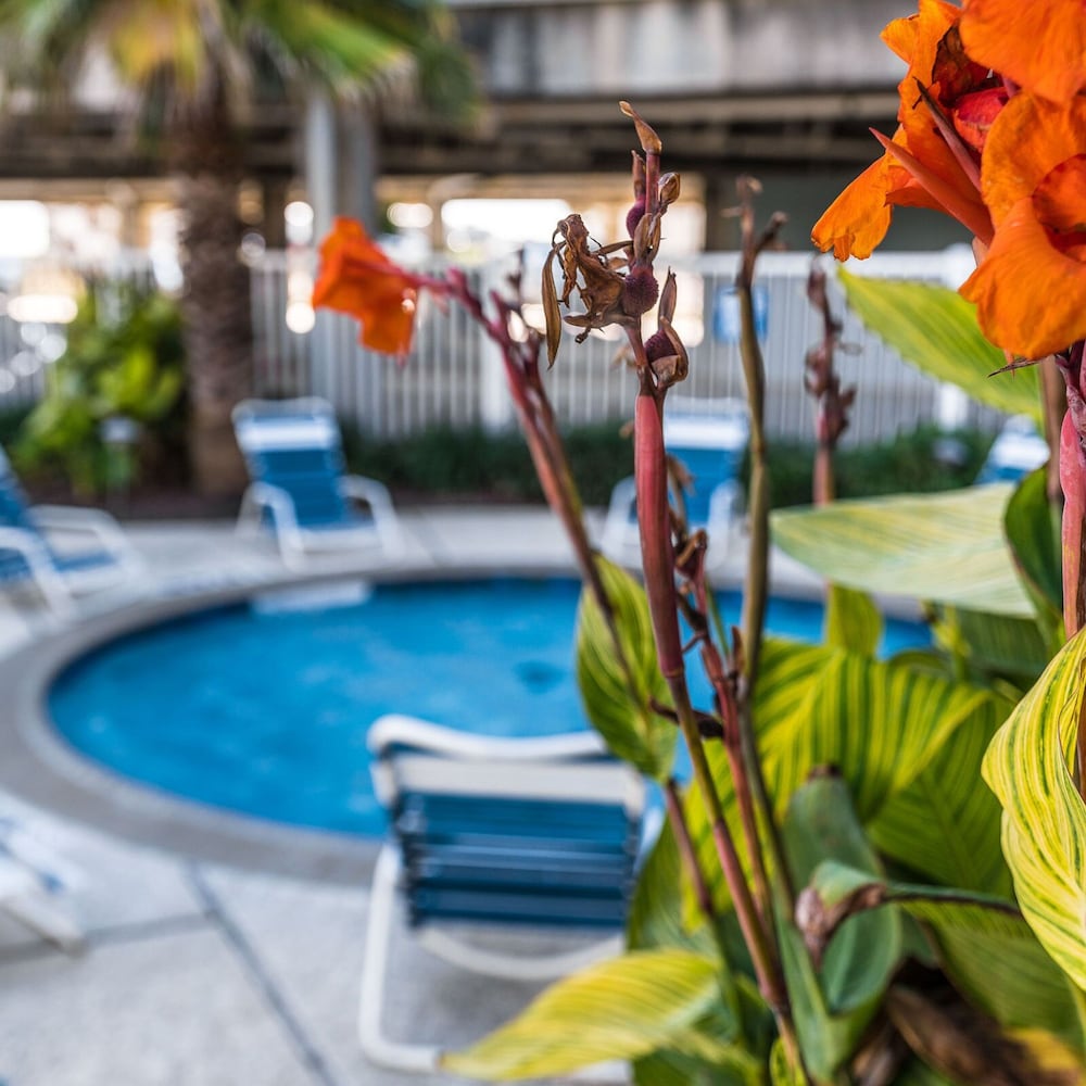 Great Pools and Easy Access to Ocean - Get Beach Dazed, Billede 4