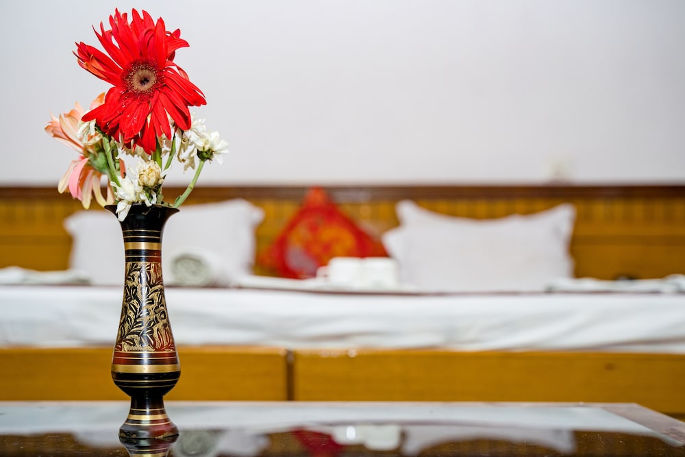Classic Room - Photo 8