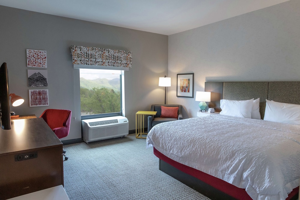 Room, 1 King Bed, Accessible, Bathtub (Mobility & Hearing) - Photo 1