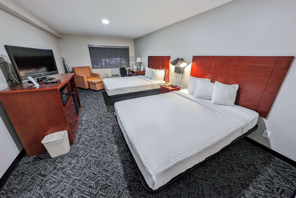 Studio Suite, 2 Queen Beds, Non Smoking, Refrigerator photo 2