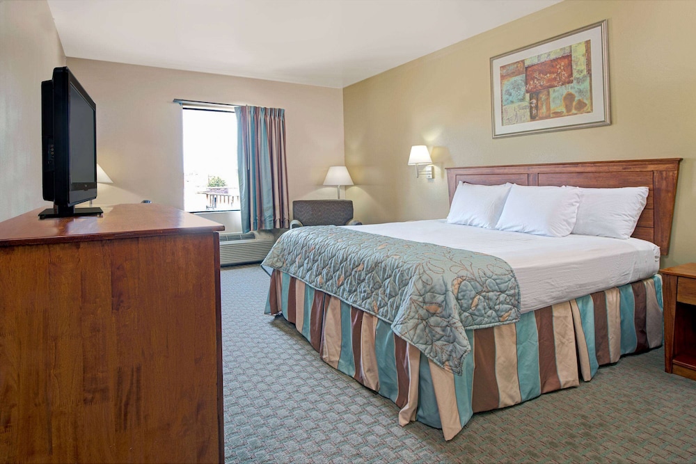 Premium Studio Suite, 1 King Bed, Non Smoking (One-Bedroom) - Photo 1