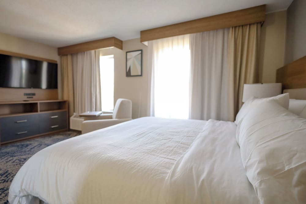 Studio Suite - Photo 4
