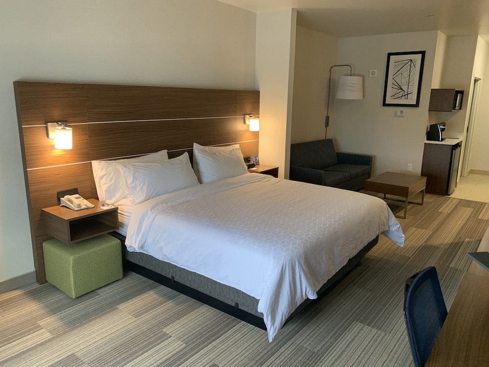 Suite, 1 King Bed, Accessible Bathtub (Mobility, Accessible Tub) - Photo 1