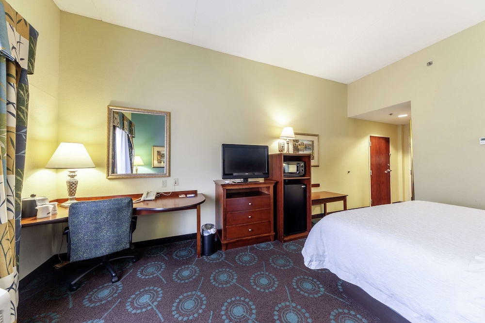 Room, 1 King Bed, Accessible, Bathtub - Photo 1