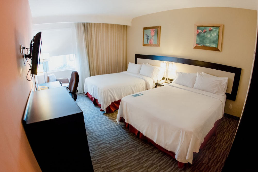 Superior Room, 2 Queen Beds photo 2
