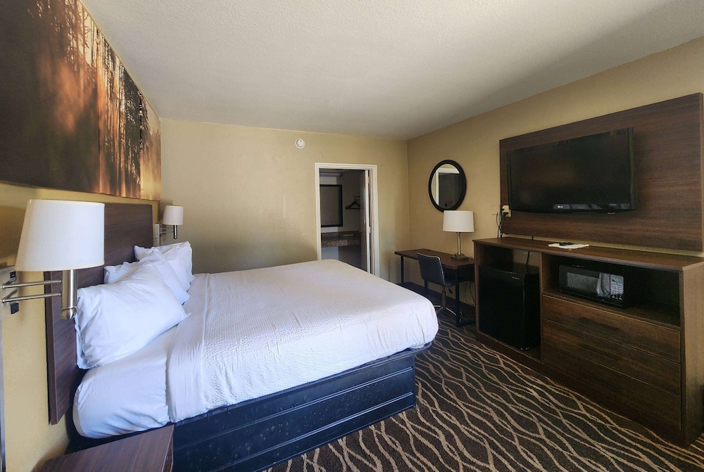 Room, 1 King Bed, Accessible, Non Smoking - Photo 1