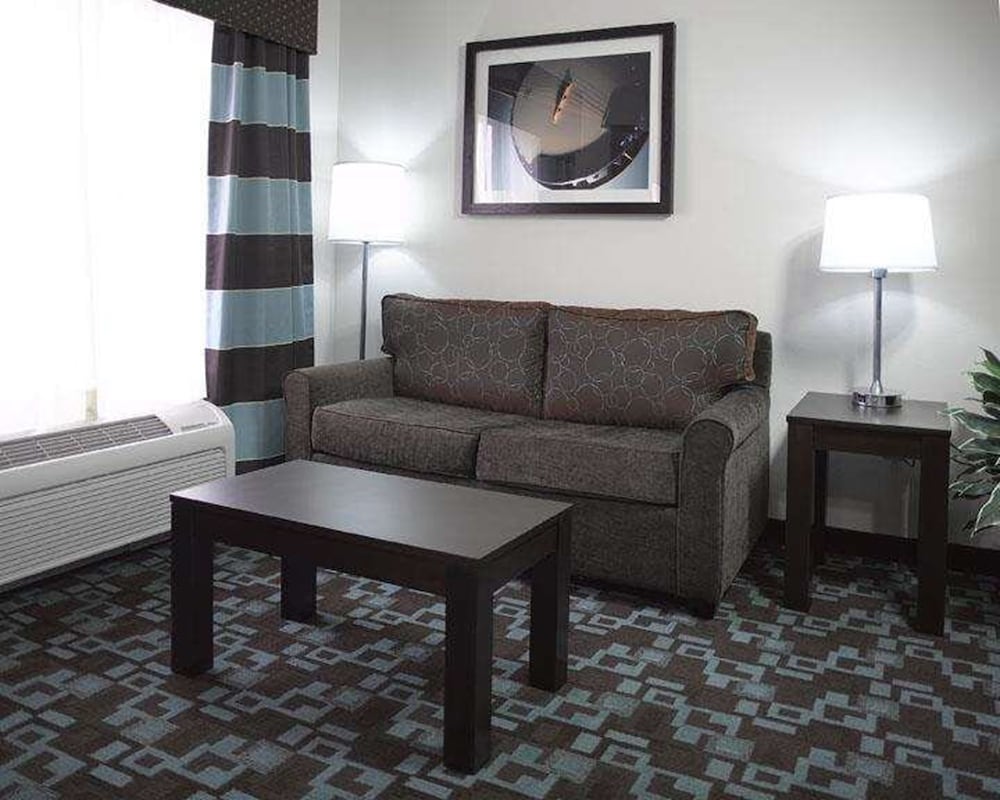 Studio Suite, 1 King Bed - Photo 3