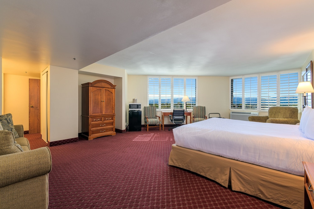 Junior Studio Suite, 1 King Bed photo 3