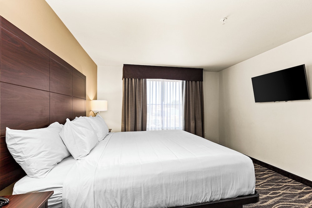 Suite, 1 King Bed with Sofa bed, Non Smoking (Stay Suite Audible/Visual Alert) - Photo 3