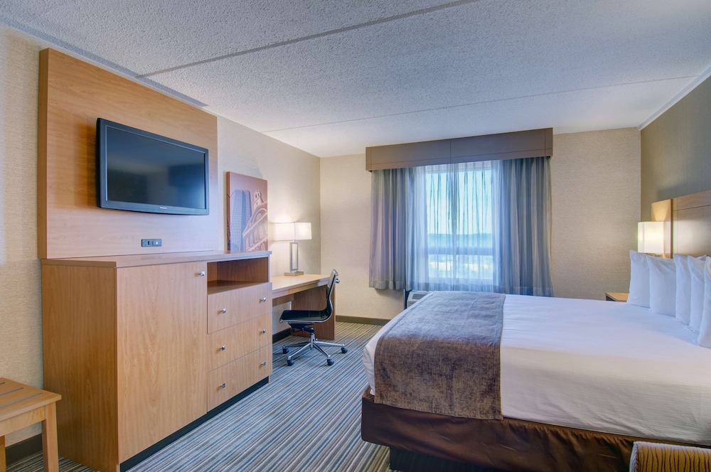 Standard Room, 1 King Bed, Non Smoking, Refrigerator & Microwave (with Sofabed) - Photo 3