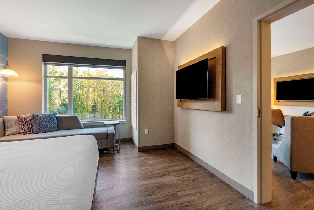 Suite, 1 King Bed, Non Smoking - Photo 1