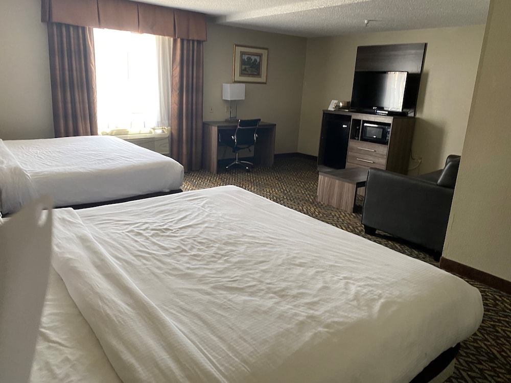 Studio Suite, Multiple Beds, Non Smoking - Photo 3