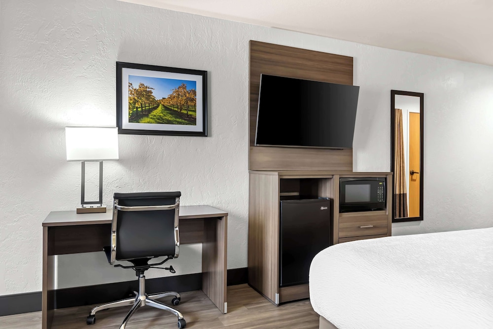 Suite, 1 King Bed, Accessible, Bathtub (Larger Room) - Photo 3