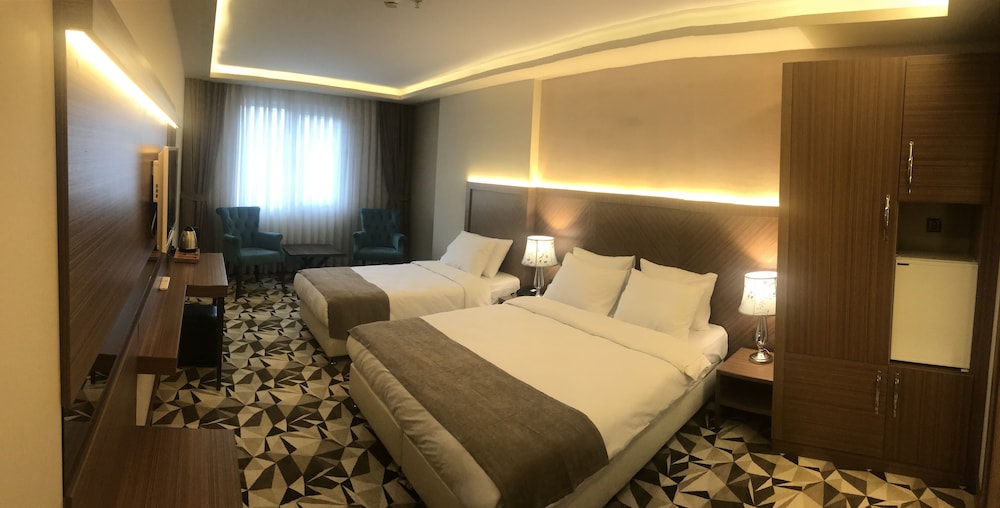 Deluxe Double or Twin Room photo 2