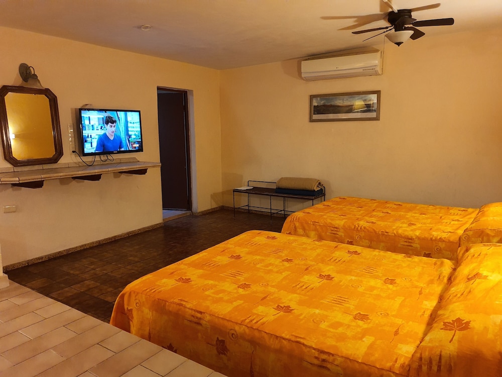 Executive Suite - Photo 2