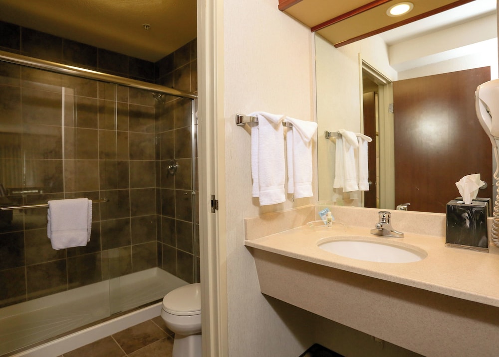 Suite, 1 King Bed - Photo 15