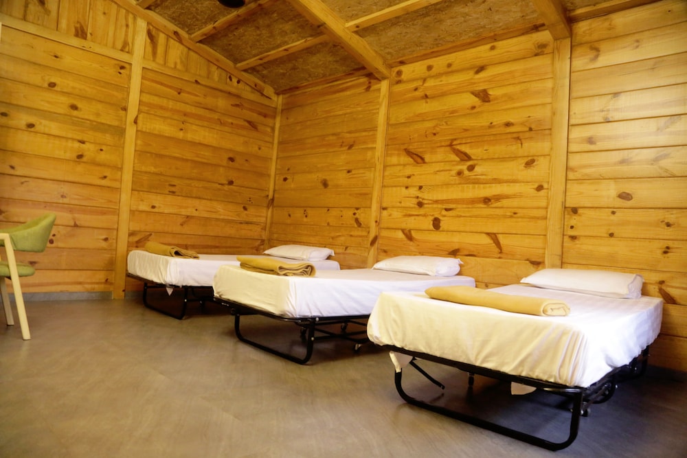 Shared Dormitory photo 3