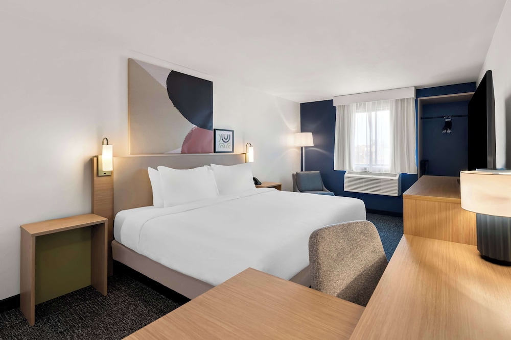 Room, 1 King Bed
