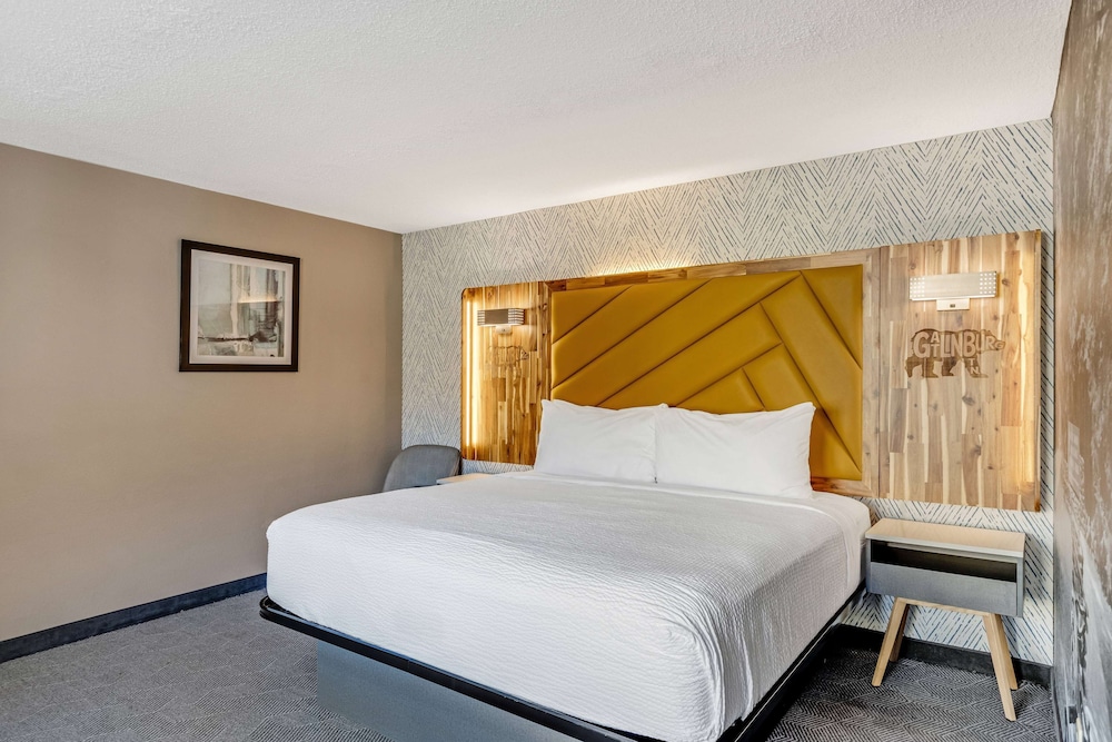 Room, 1 King Bed, Accessible, Non Smoking (Mobility, Roll-In Shower) - Photo 8