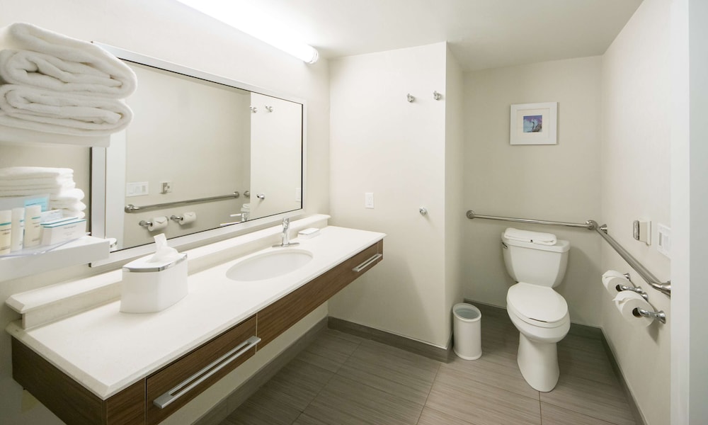 Room, Accessible, Non Smoking (Roll-In Shower) - Photo 9