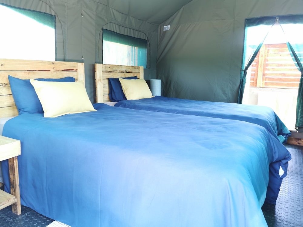 Standard Twin Room - Photo 7