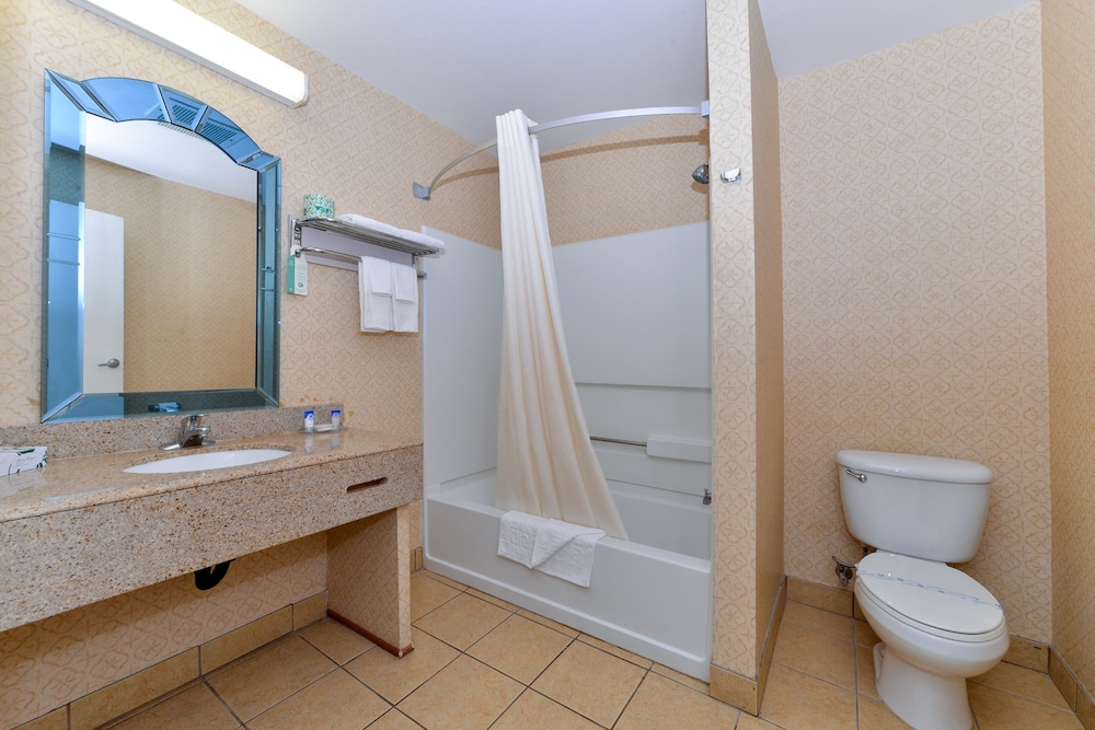 Suite, 1 King Bed (Jacuzzi) - Photo 7