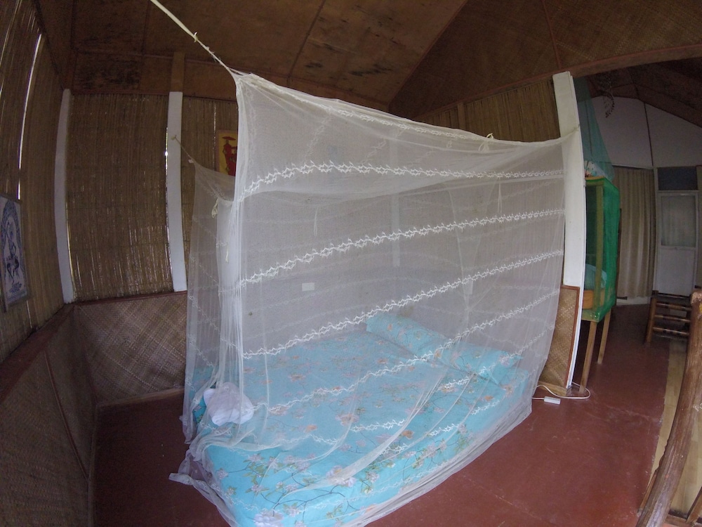 Basic Shared Dormitory photo 3