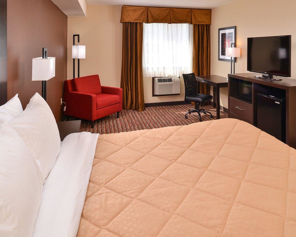 Room, 1 King Bed, Accessible, Non Smoking photo 3
