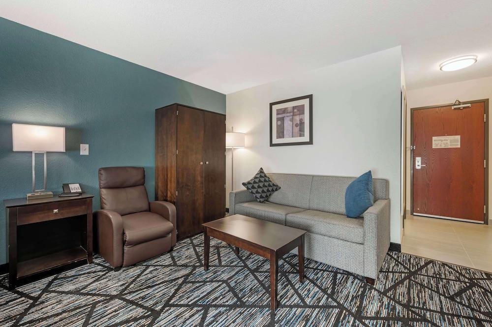 Standard Room, 1 King Bed, Accessible, Non Smoking (Walk-in Shower;with Sofabed) - Photo 3