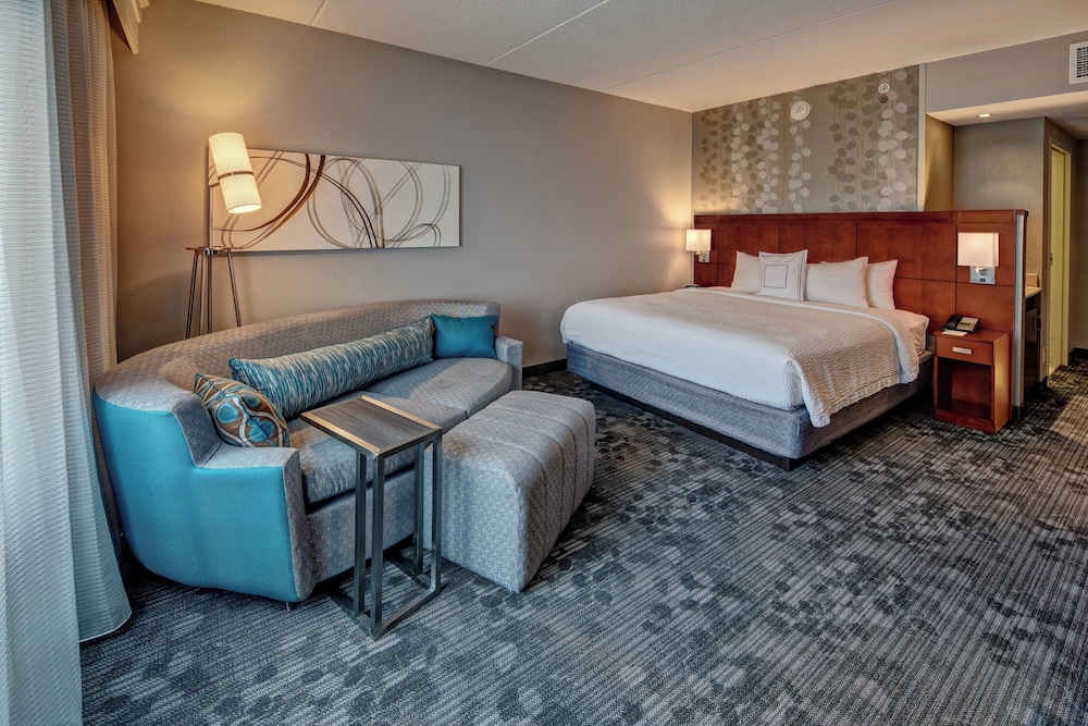 Room, 1 King Bed with Sofa bed (Mobility/Hearing Access, Roll-in Shwr) - Photo 1