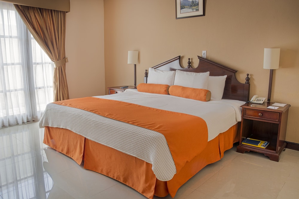Suite, 1 King Bed photo 3