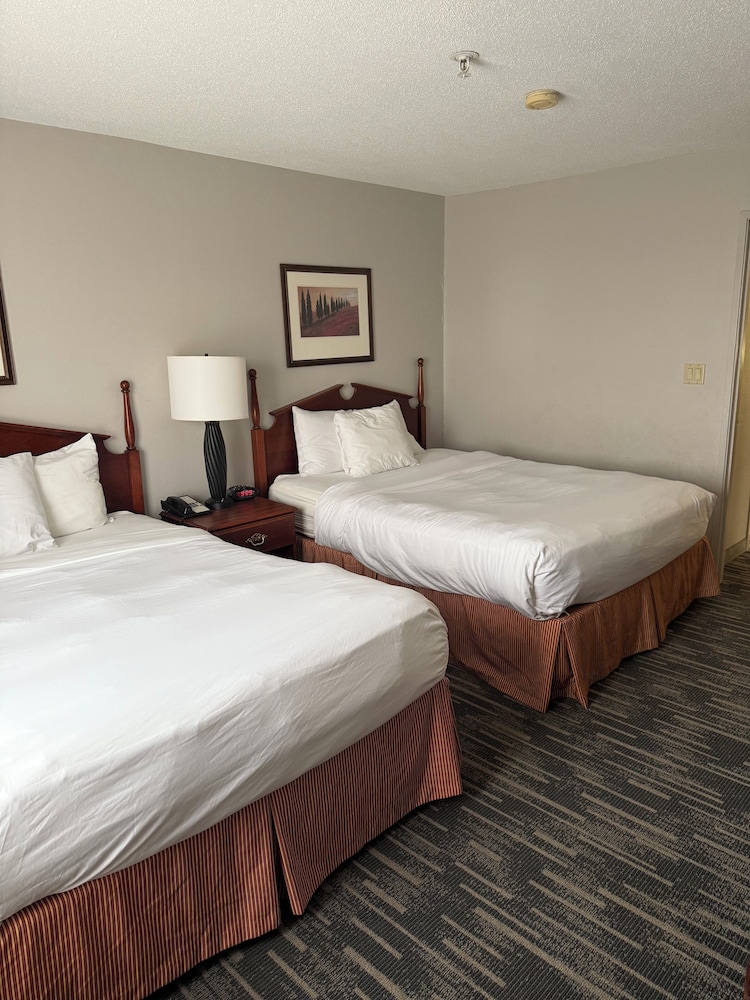 Suite, 1 Bedroom, Non Smoking photo 1