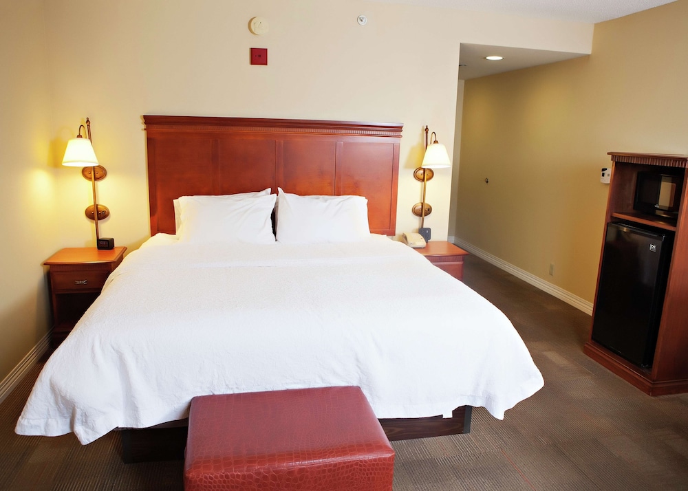 Room, 1 King Bed, Non Smoking, Refrigerator & Microwave (Walk In Shower) - Photo 2