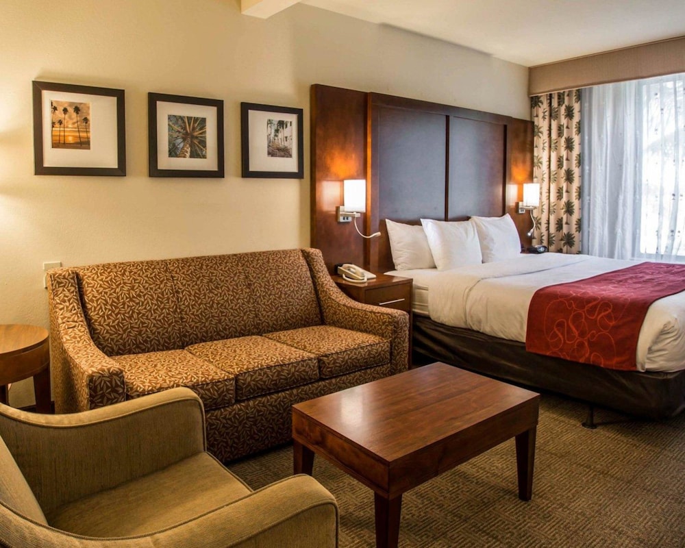Suite, 1 King Bed with Sofa bed, Accessible, Non Smoking - Photo 1