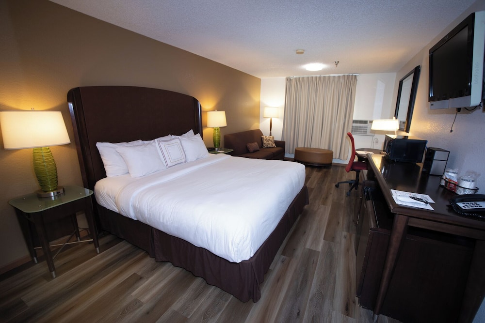 Deluxe Single Room, 1 King Bed, Non Smoking
