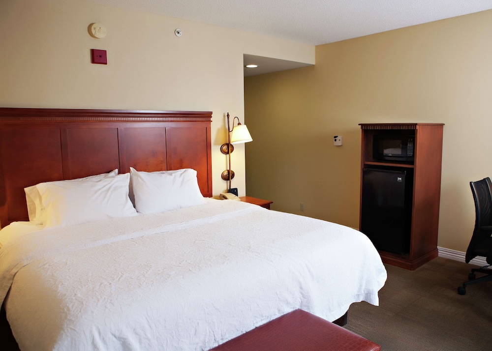 Room, 1 King Bed, Non Smoking, Refrigerator & Microwave (Walk In Shower) - Photo 3