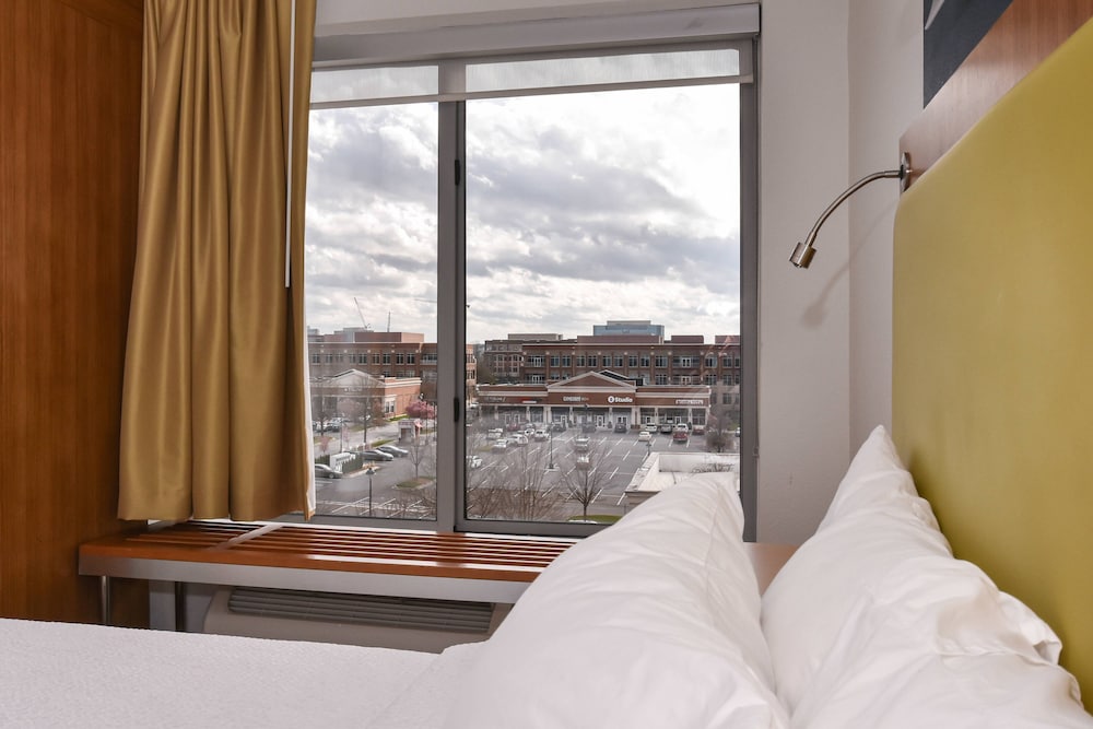 Studio Suite, Multiple Beds - Photo 3
