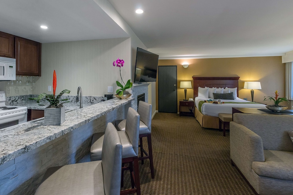 Suite, 1 King Bed, Non Smoking, Kitchen (Living Room;Oversized Room) - Photo 3